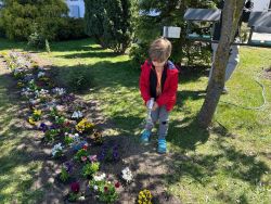 Międzynarodowy Dzień Ziemi