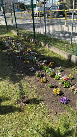 Międzynarodowy Dzień Ziemi