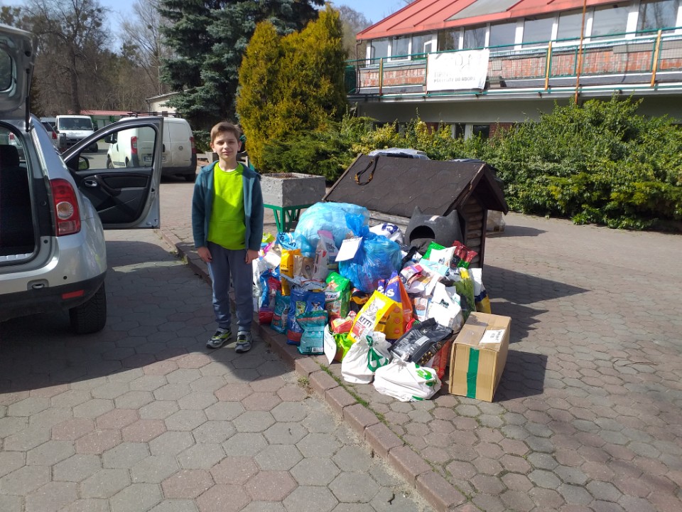15 lat zbiórki dla bezdomnych zwierząt w Łysomicach