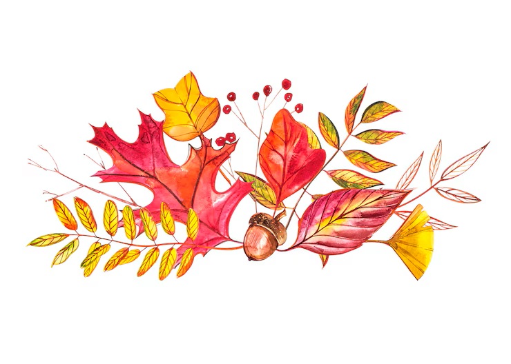 Podsumowanie konkursu „Jesienna kompozycja” – klasy 0–3