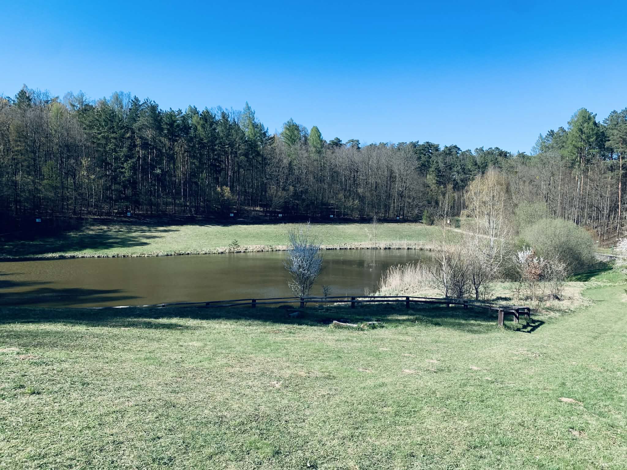 Wycieczka do Górzna